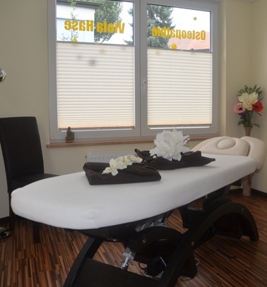 Osteopathie und Physiotherapie Viola Hase