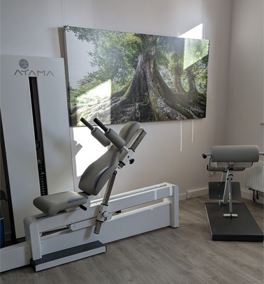 Osteopathie und Physiotherapie Viola Hase